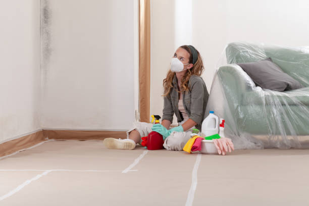 Reliable Crawl Space Mold Remediation contractor in Alexandria, KY by 24 Hour Mold Removal