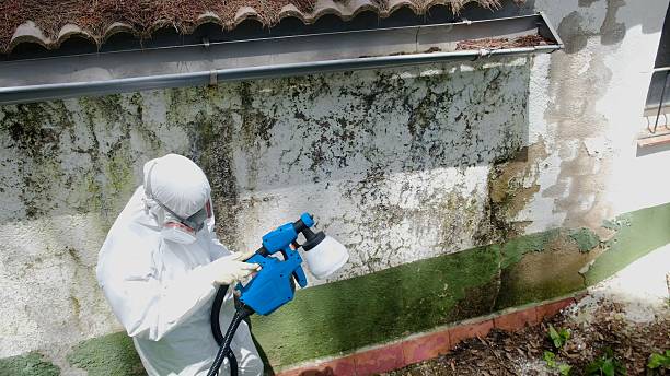Top rated local Crawl Space Mold Remediation specialists in Alexandria, KY